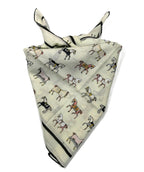 Shanlin Unisex Floral Cotton Square Scarf Bandanas 22x22 inch