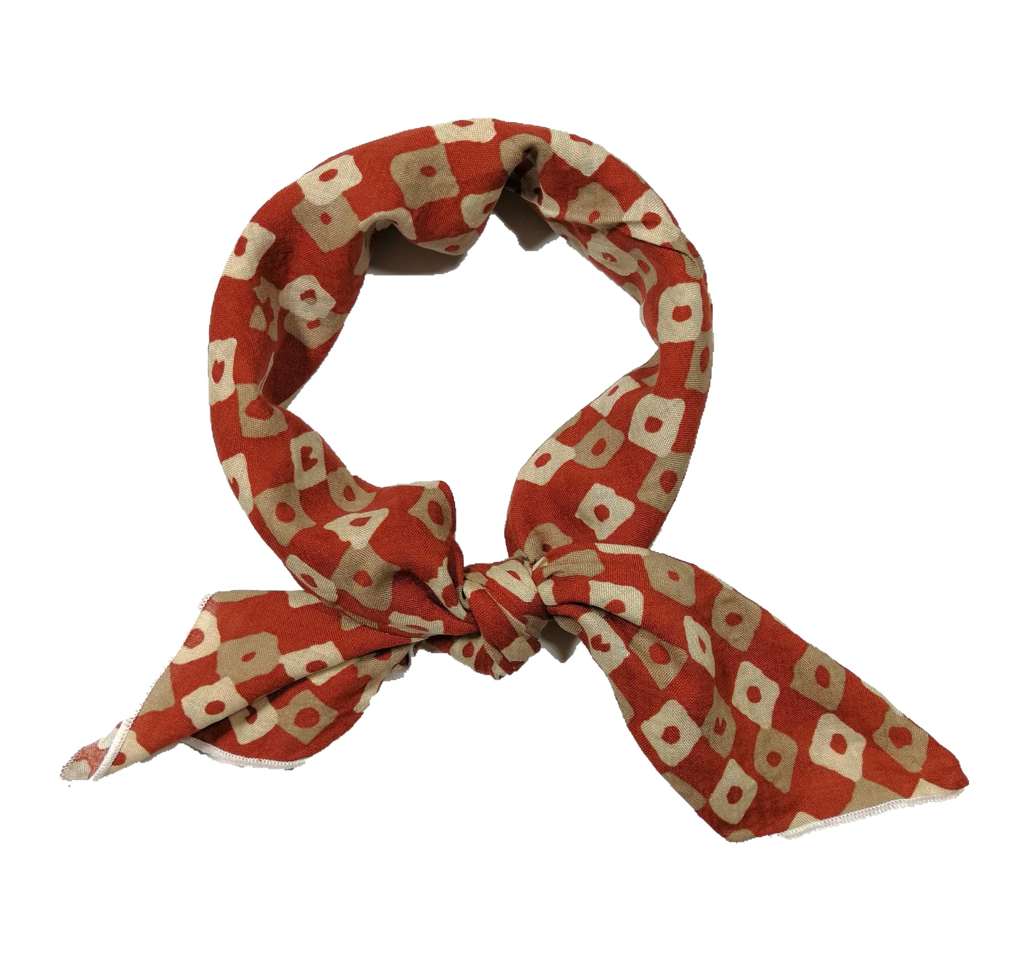 Shanlin Unisex Cotton Square Scarf Bandanas 22x22 inch