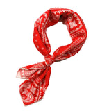 Shanlin Unisex Cotton Square Scarf Bandanas 22x22 inch