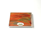 Shanlin Mulberry Silk Long Scarves in Gift Box (65"x39.5")