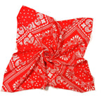 SQ55-76-Red