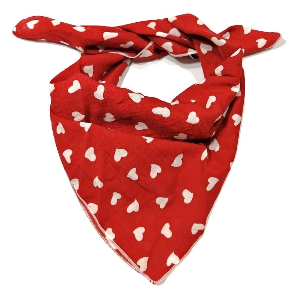 Shanlin Unisex Cotton Square Scarf Bandanas 22x22 inch