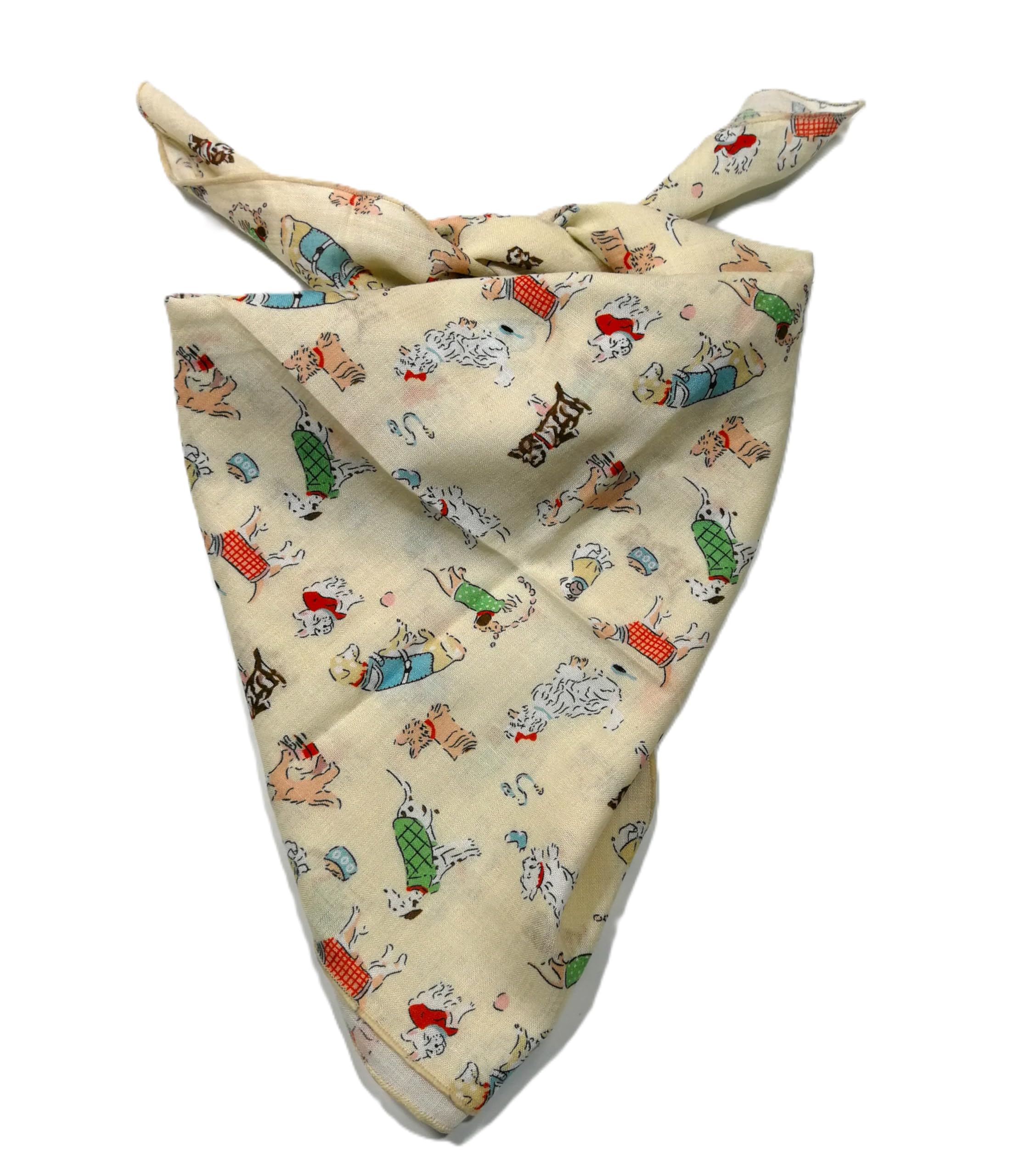 Shanlin Unisex Floral Cotton Square Scarf Bandanas 22x22 inch