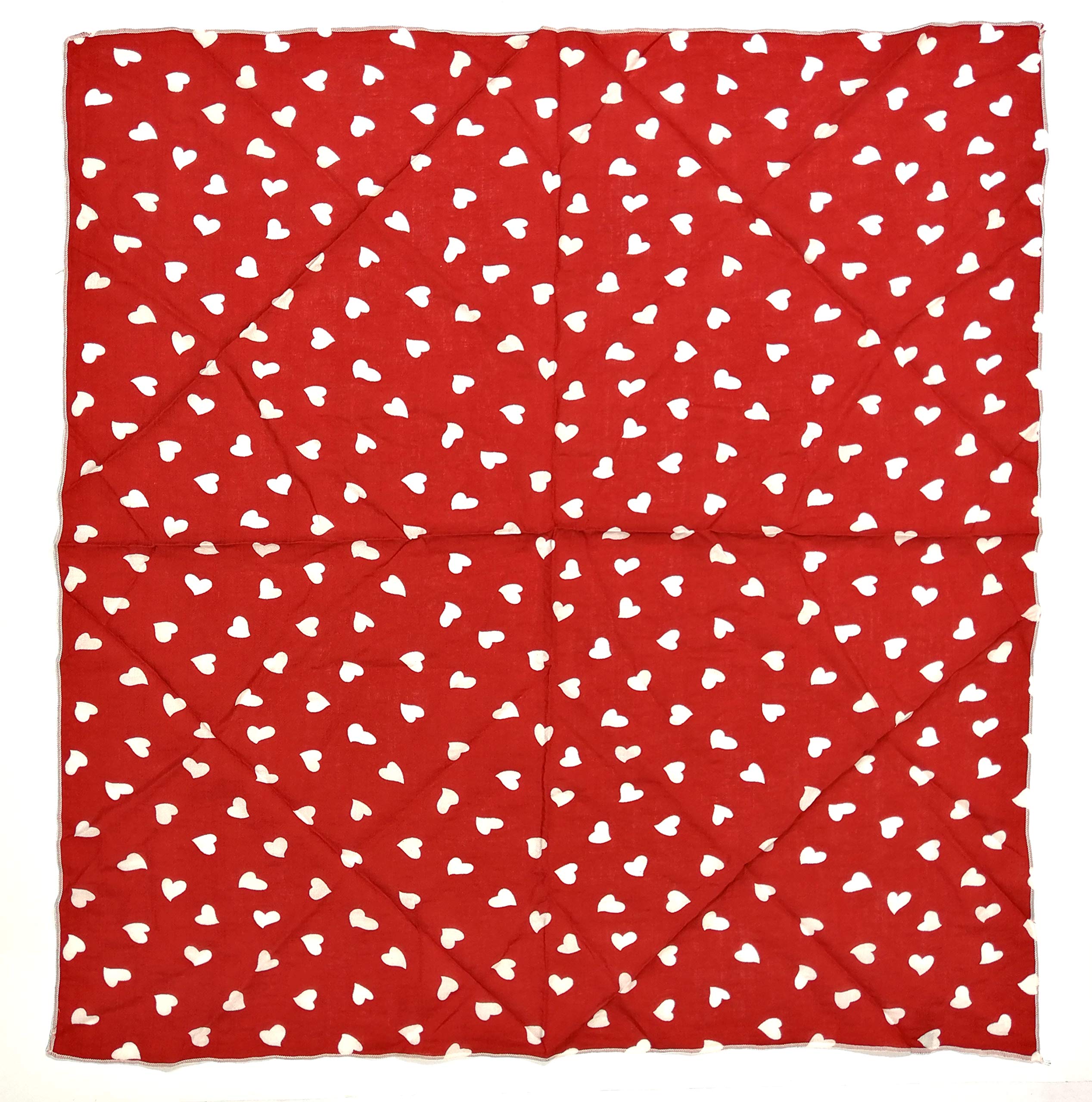 Shanlin Unisex Cotton Square Scarf Bandanas 22x22 inch