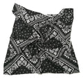 Shanlin Unisex Cotton Square Scarf Bandanas 22x22 inch (Paisley)