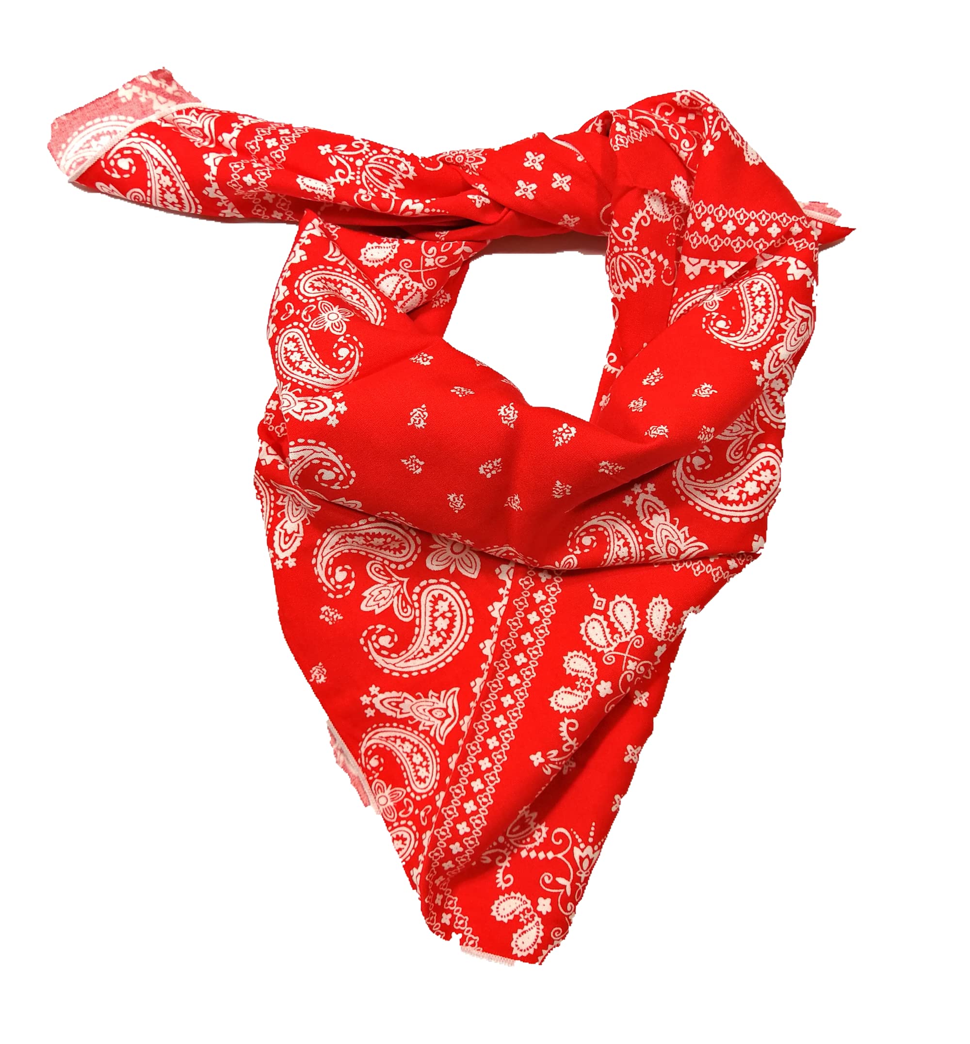 Shanlin Unisex Cotton Square Scarf Bandanas 22x22 inch